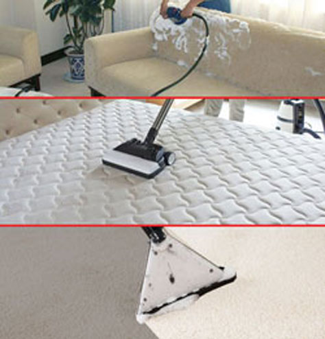 Carpet Cleaning Services Shrajah Sofa Cleaning Sharjah Ajman Dubai
